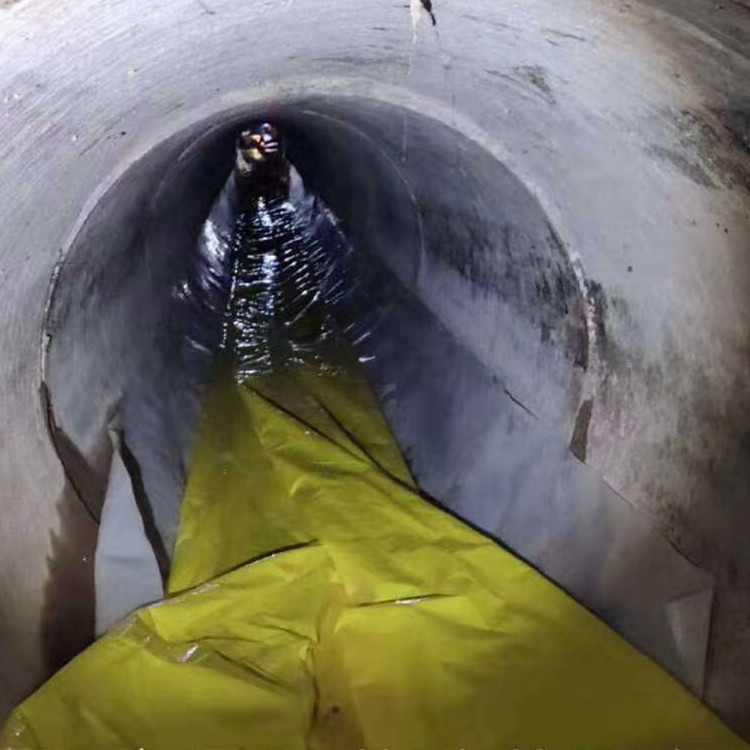 排湖风景区管道光固化修复